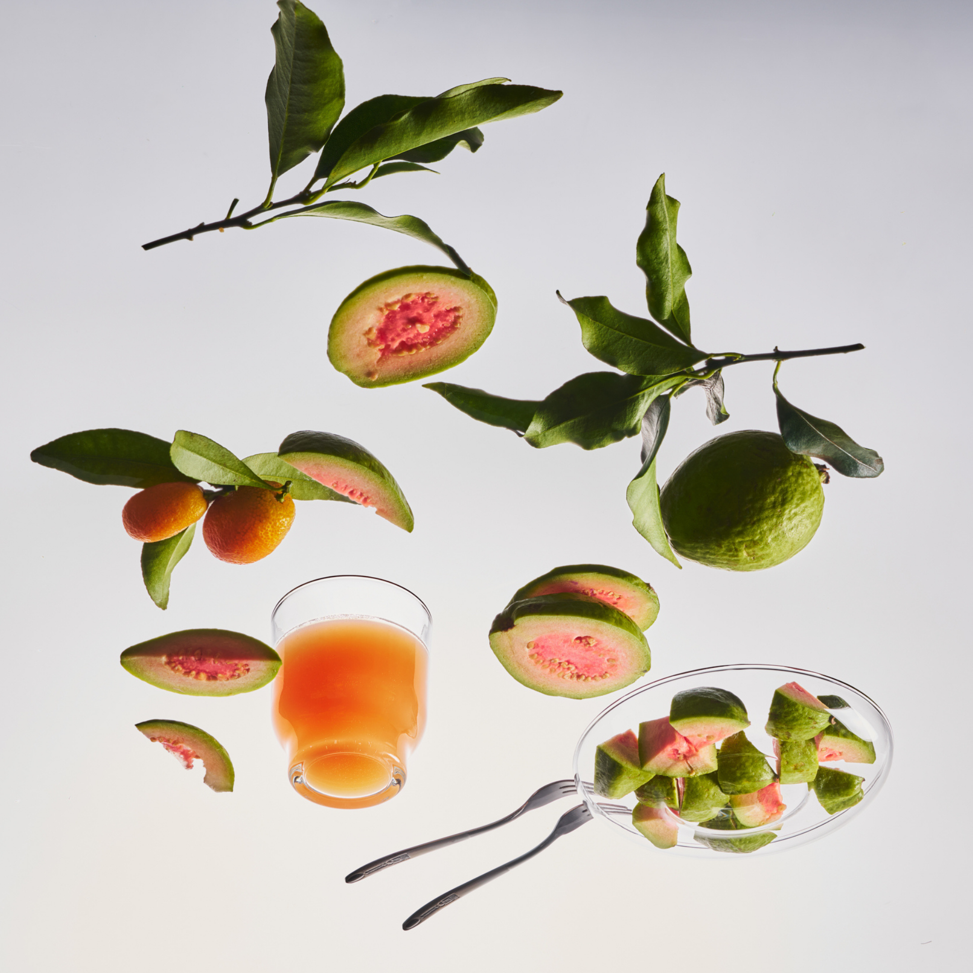 EMME nyc - Calamansi Guava 4 oz Candle